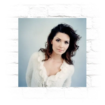 Shania Twain Metal Wall Art