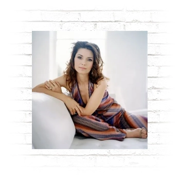 Shania Twain Poster