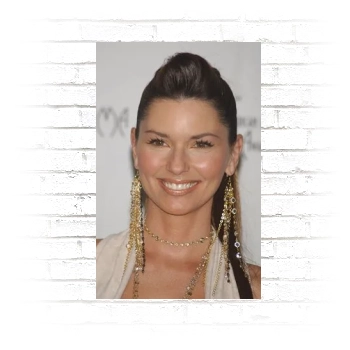 Shania Twain Poster