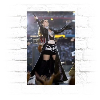 Shania Twain Metal Wall Art