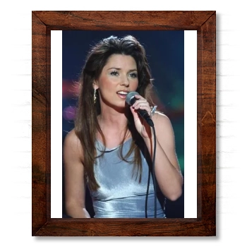 Shania Twain 14x17