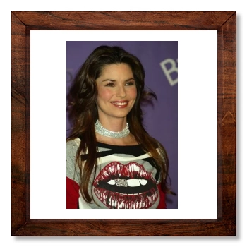 Shania Twain 12x12