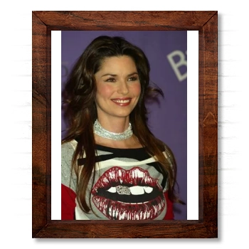 Shania Twain 14x17