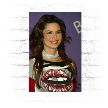 Shania Twain Metal Wall Art