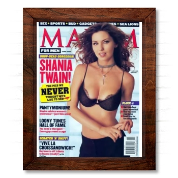 Shania Twain 14x17