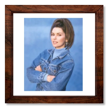 Shania Twain 12x12