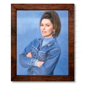 Shania Twain 14x17