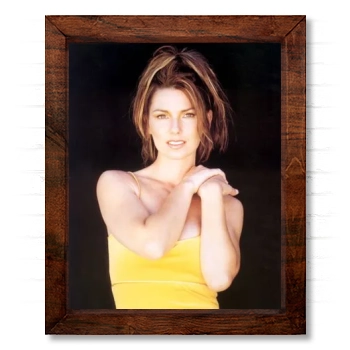 Shania Twain 14x17