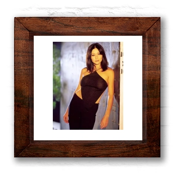 Shannen Doherty 6x6