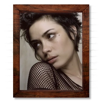 Shannyn Sossamon 14x17