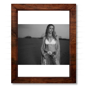 Sheryl Crow 14x17