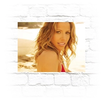 Sheryl Crow Metal Wall Art