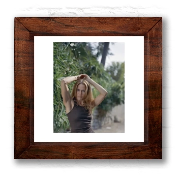 Sheryl Crow 6x6