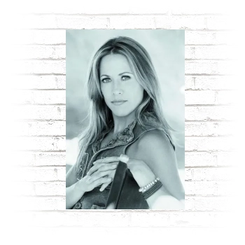 Sheryl Crow Poster