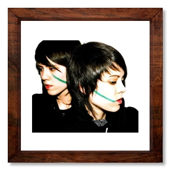 Tegan and Sara 12x12