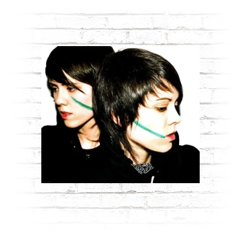 Tegan and Sara Poster