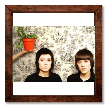 Tegan and Sara 12x12