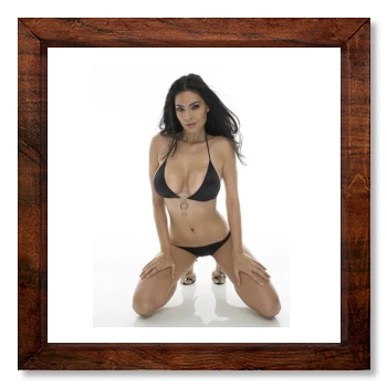 Tera Patrick 12x12