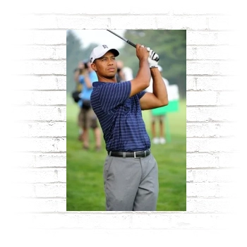 Tiger Woods Poster