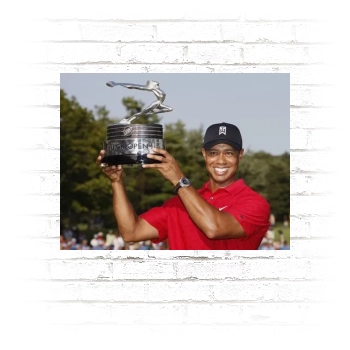 Tiger Woods Poster