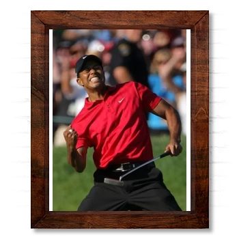 Tiger Woods 14x17