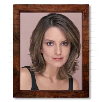 Tina Fey 14x17