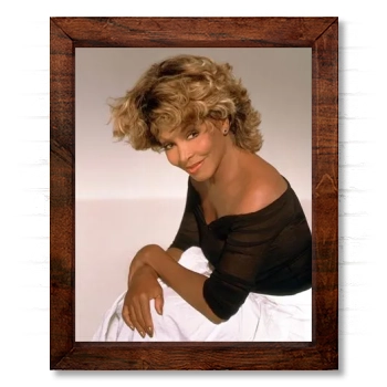 Tina Turner 14x17