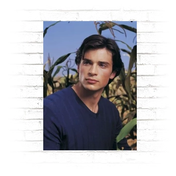 Tom Welling Poster