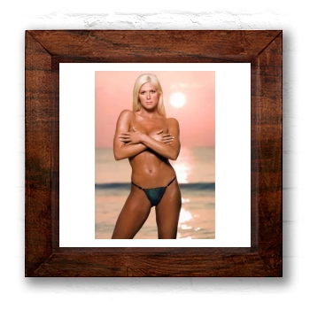 Torrie Wilson 6x6