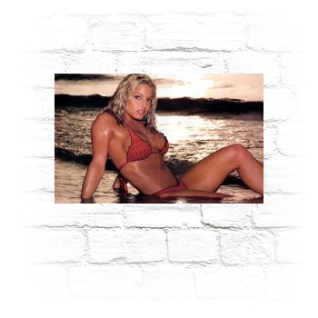 Trish Stratus Metal Wall Art