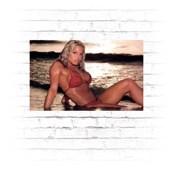 Trish Stratus Poster