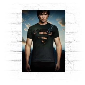 Smallville (2001) Metal Wall Art