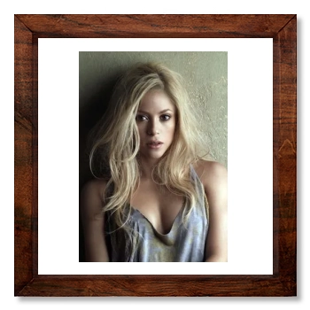 Shakira 12x12