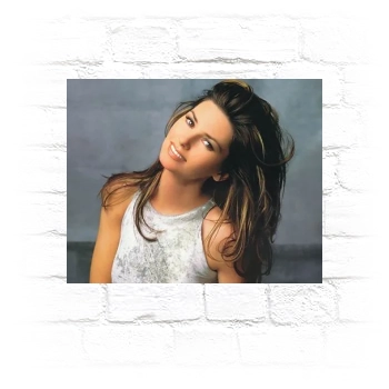 Shania Twain Metal Wall Art