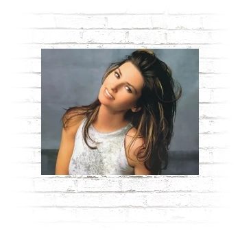 Shania Twain Poster