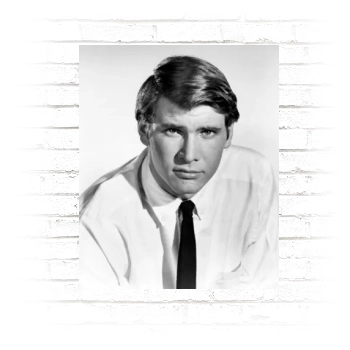 Harrison Ford Poster