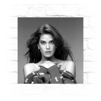 Teri Hatcher Metal Wall Art