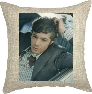 Adam Brody Pillow