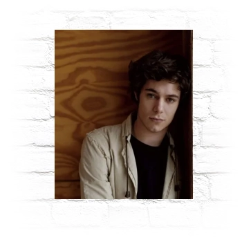 Adam Brody Metal Wall Art