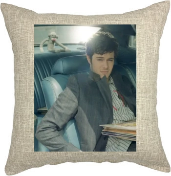 Adam Brody Pillow