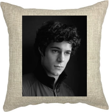 Adam Brody Pillow