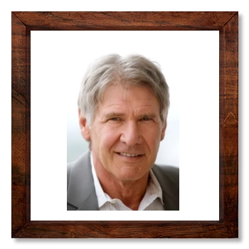 Harrison Ford 12x12