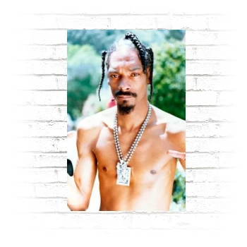 Snoop Dogg Poster