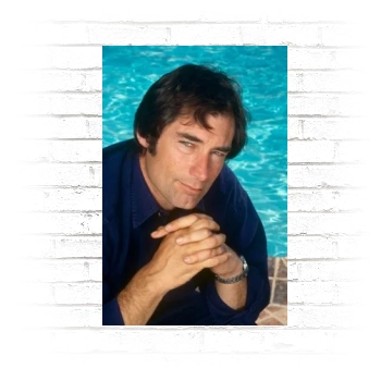 Timothy Dalton Poster