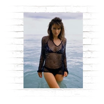 Elizabeth Hurley Poster