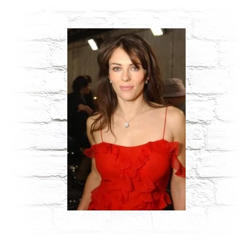 Elizabeth Hurley Metal Wall Art