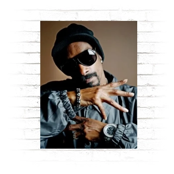 Snoop Dogg Poster