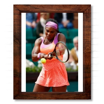 Serena Williams 14x17