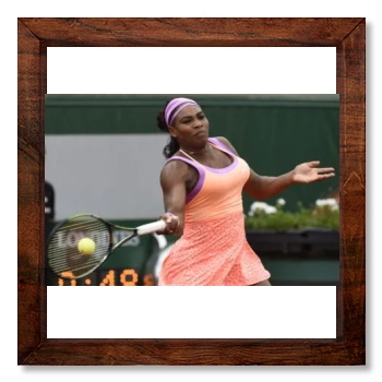 Serena Williams 12x12