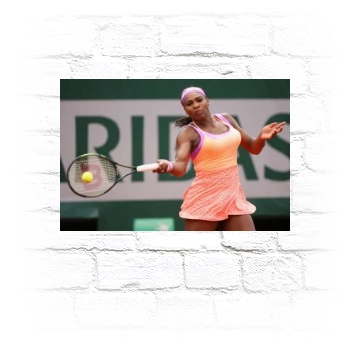 Serena Williams Metal Wall Art